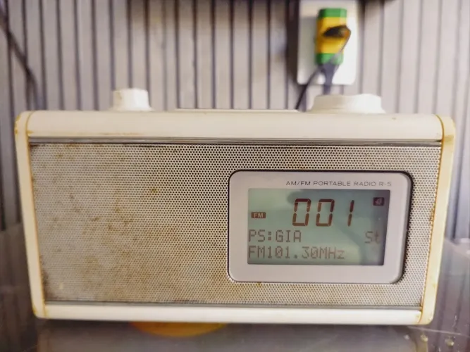 Rádio relógio FM