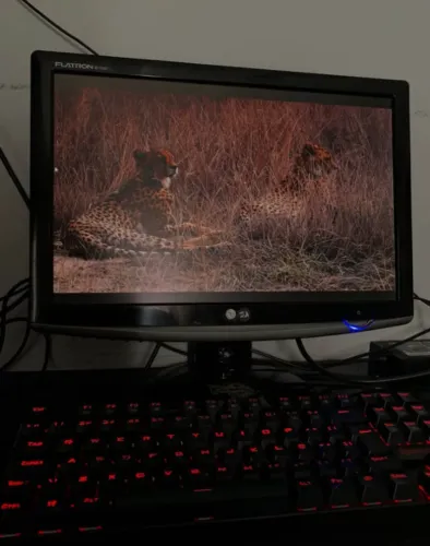 MONITOR LG Flatron W1752T - 17? Funcionando Perfeitamente