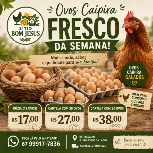 OVOS CAIPIRAS (Consumo/Galado)