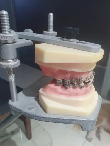 Manequim Ortodontico Typodont Articulado