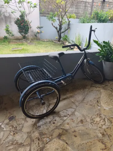 Bike Bicicleta Triciclo Adulto