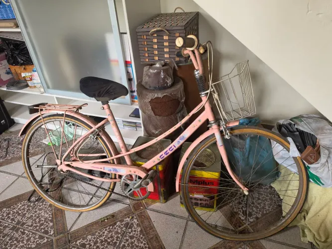 Bicicleta Cecília adulto