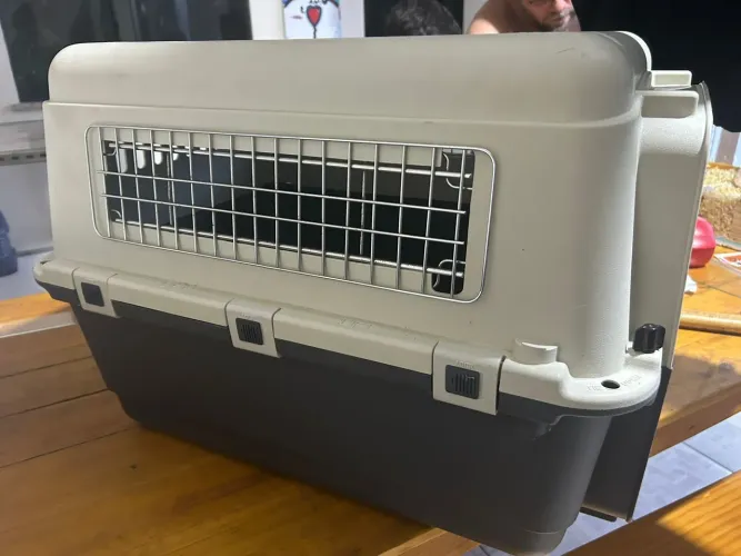 Vendo caixa de transporte aéreo tamanho M