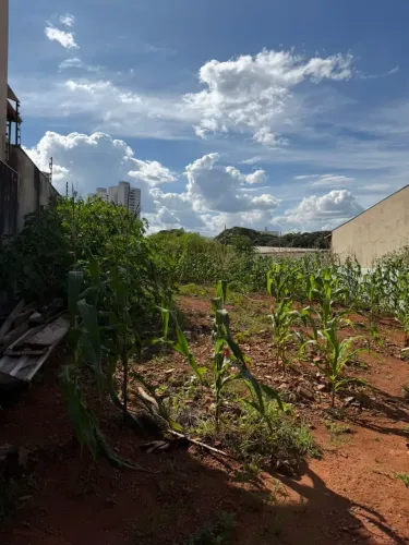 Lote no Jundiaí