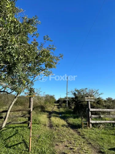 Fazenda / Sítio / Chácara à venda Avenida do Lami, Boa Vista do Sul - Porto Alegre