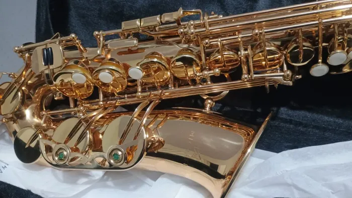 SAX ALTO Michael WASM30N