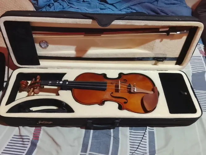 Eu tô vendo um violino da EAGLE VE 441 