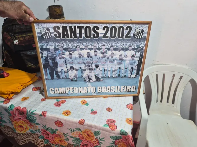 Quadro Santos, Campeonato Brasileiro de 2002