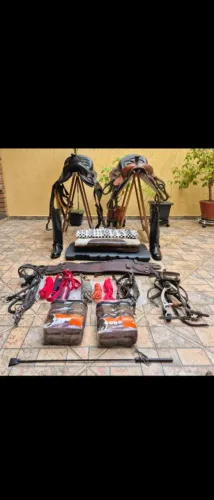 Selas e demais acessórios para cavalos