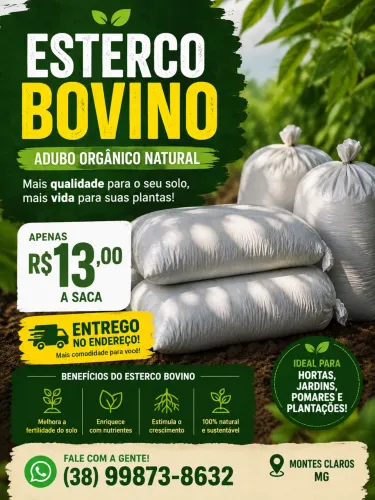 Esterco