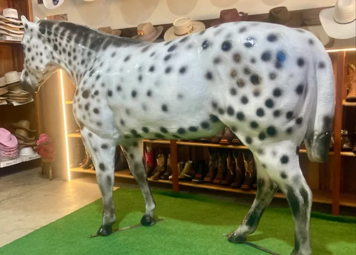 Cavalo de Fibra em Tamanho Real