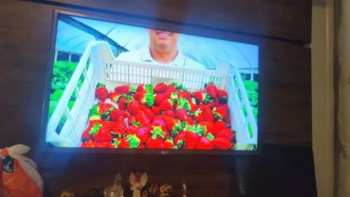 Vendo tv