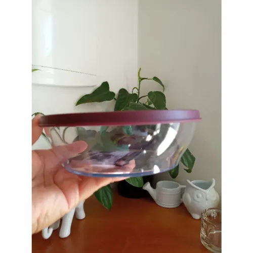 Tigela Clear 750ml Merlot Tupperware 