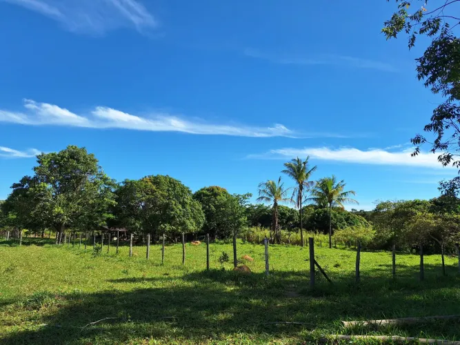 Vendo chácaras de 10.000 metros quadrados no Novo Gama GO