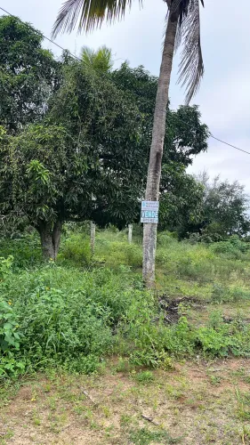 Terreno 8 tarefas em Coração de Maria