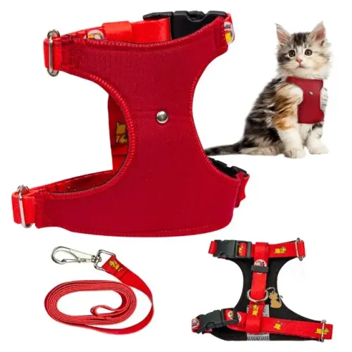 Peitoral com Pingente e Guia para Gatos. Não cobro taxa de entrega em Udia. Aceito Cartão