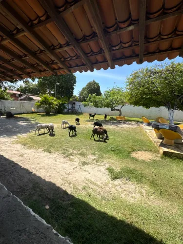 LINDO SÍTIO NO PECEM-MATOES 