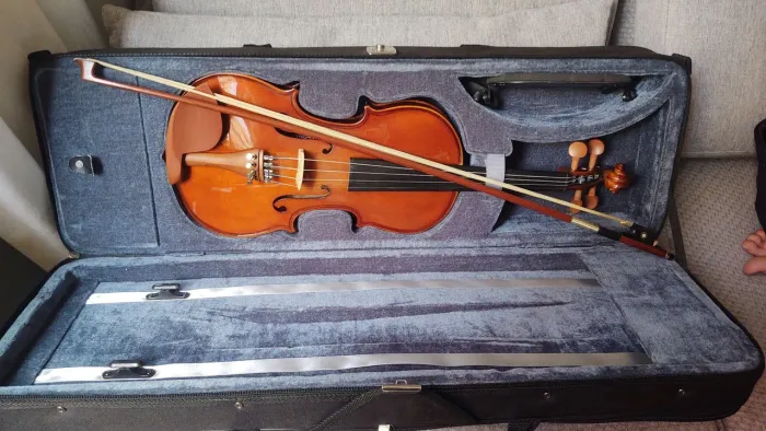Violino