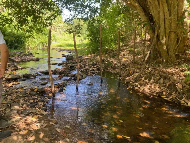 Sítio Candeias (Baturité CE) + Casa