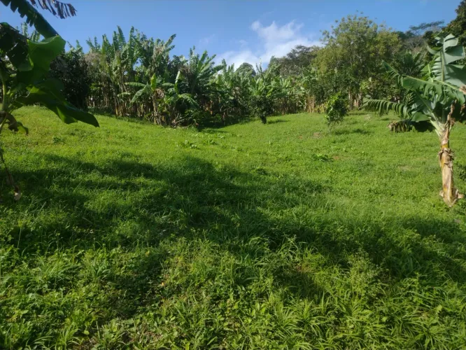 Terreno em Ilha da Guaratiba com RGI