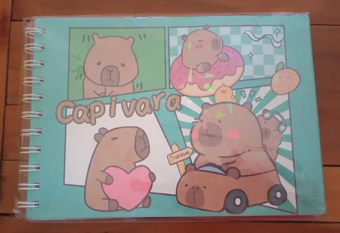 Bobbie Goods - Cadernos de pintura.