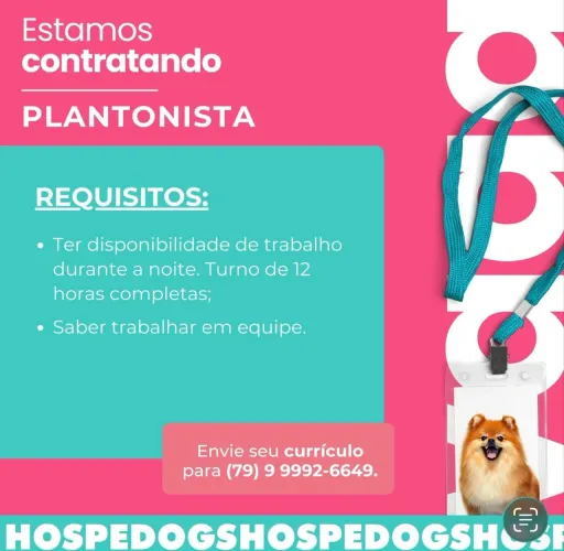 HOSPEDOGS: PLANTONISTA 
