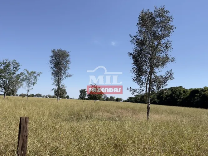 Fazenda em Nova Crixas-GO de 140 Alqueires