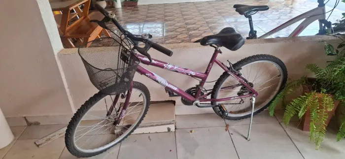 Bicicleta feminina