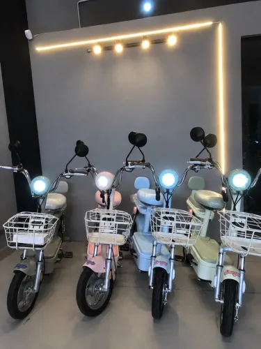 SCOOTER ELÉTRICA PANDA Z2 500W