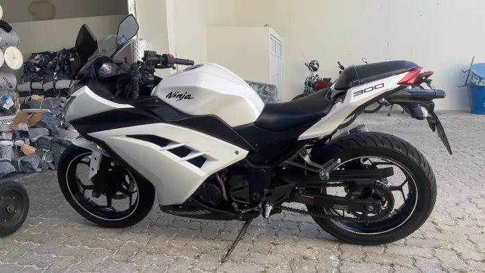 Ninja 300 2017/17