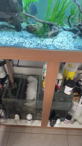 Aquário Completo 200 Litros 100x40x50 Com Sump E Móvel
