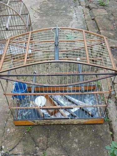 COMBO DE GAIOLAS.
