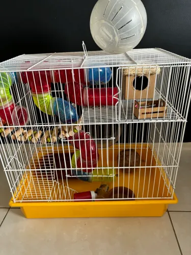 Gaiola hamster