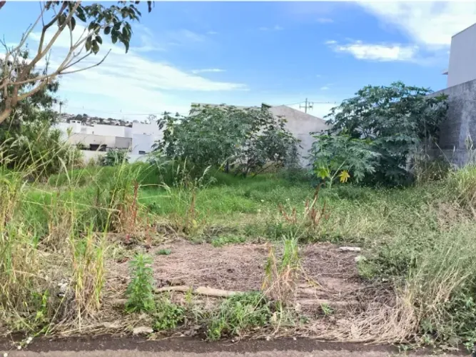 Terreno/Lote no Jardim Pancera (12x30m)