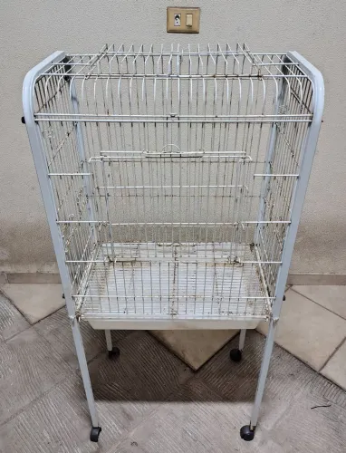 Viveiro gaiola para calopsitas