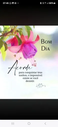Doação lindos filhotes