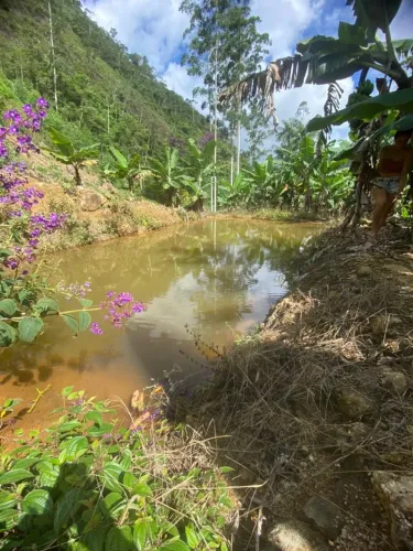 ? VENDO SÍTIO EM RIO LAMPE - JOÃO NEIVA/ES ? ? Área total: 30.000 m² ? Aproximadamente