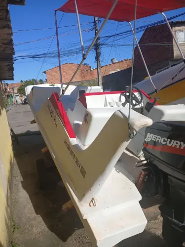 Jangada flipper