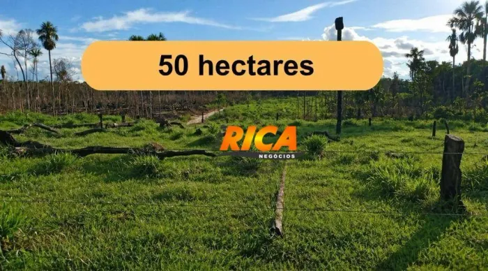 Sítio à venda no ramal Terra Firme, próximo a Porto Velho/RO
