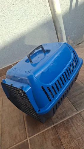 Caixa de transporte animal n3