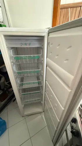 Freezer cônsul 