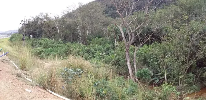 Imóvel para aluguel e venda possui 35000m2  frente para  Rodovia Presidente Dutra - Queima