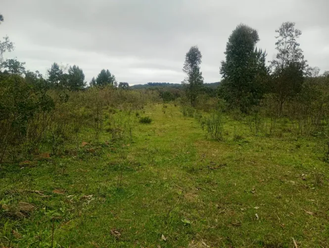 Chácara a Venda
