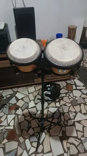 Bongo
