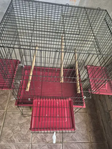 Vende-se essa gaiola