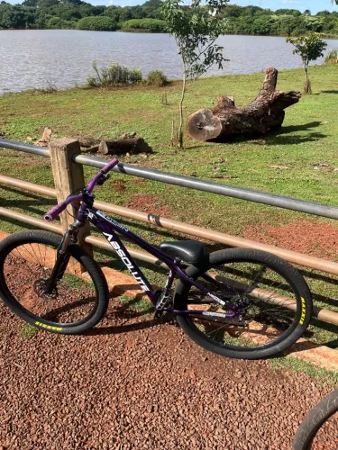 BIKE ARO 29