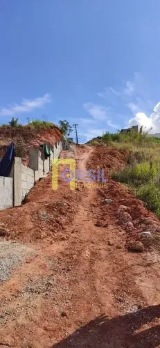 Terreno, 5000 m² - venda por R$ 2.500.000,00 ou aluguel por R$ 2.000,00 - Vila Lavínia - M