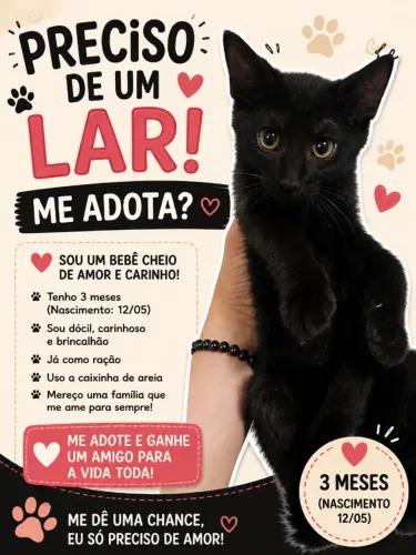 Lindo gatinho! Precisa urgente de um lar com amor!