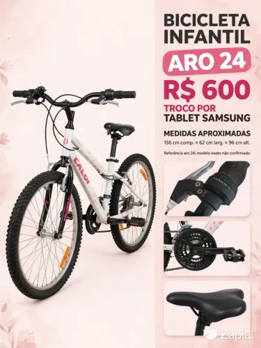 Bicicleta