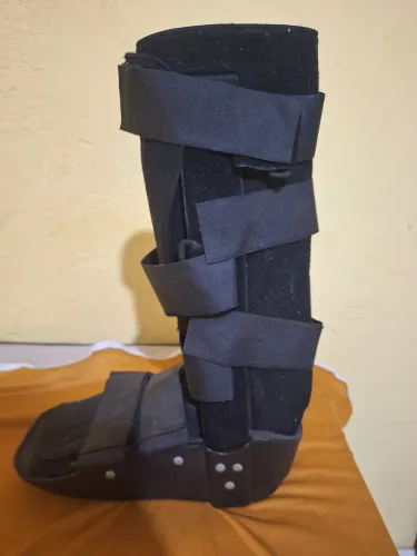 Bota